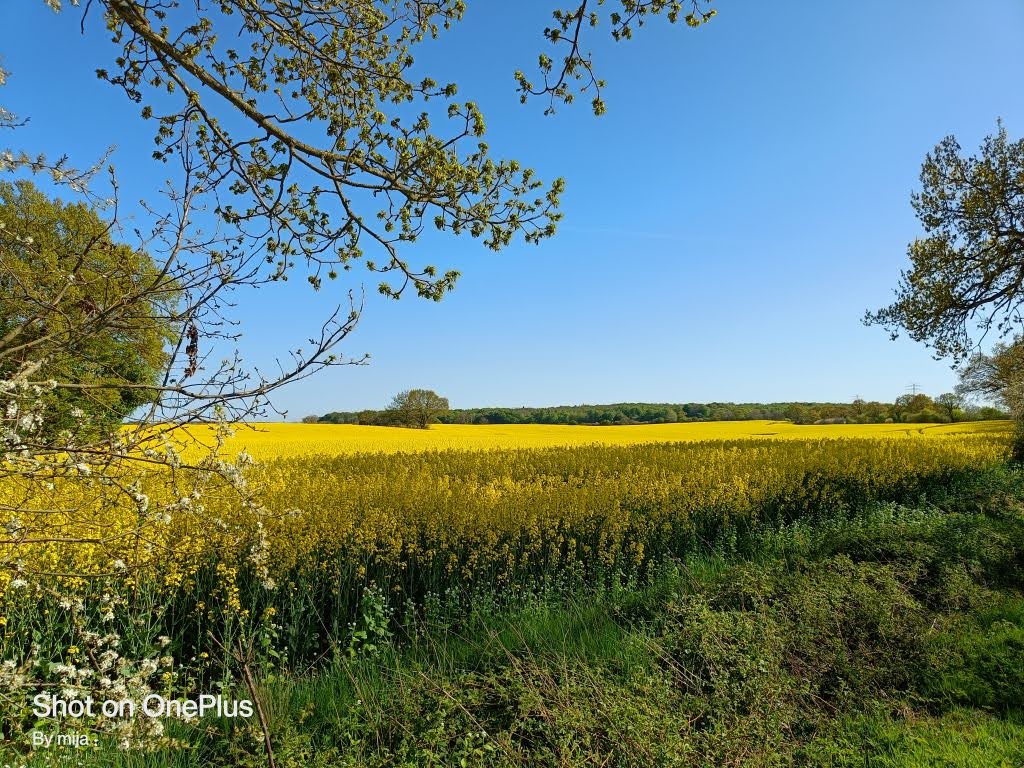 Natur Rund um Kappeln Natur Kappeln und Umgebung, Kiekut 9 - Ferienwohnung