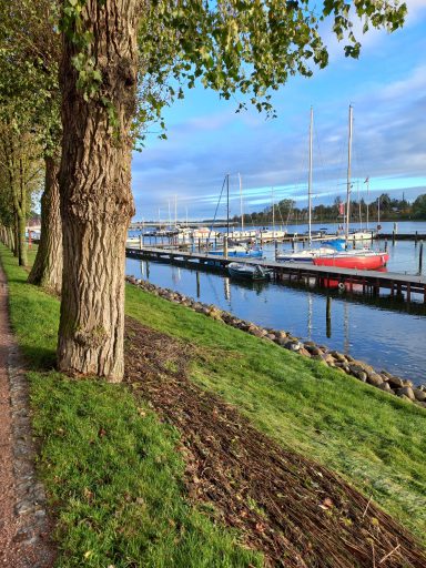 Hafen beim Restaurant Tauwerk