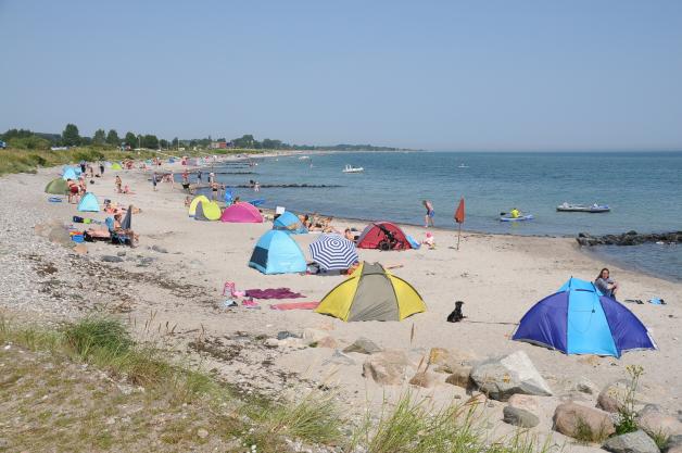 Hasselberg im Sommer Natur Kappeln und Umgebung, Kiekut 9 - Ferienwohnung Ostsee