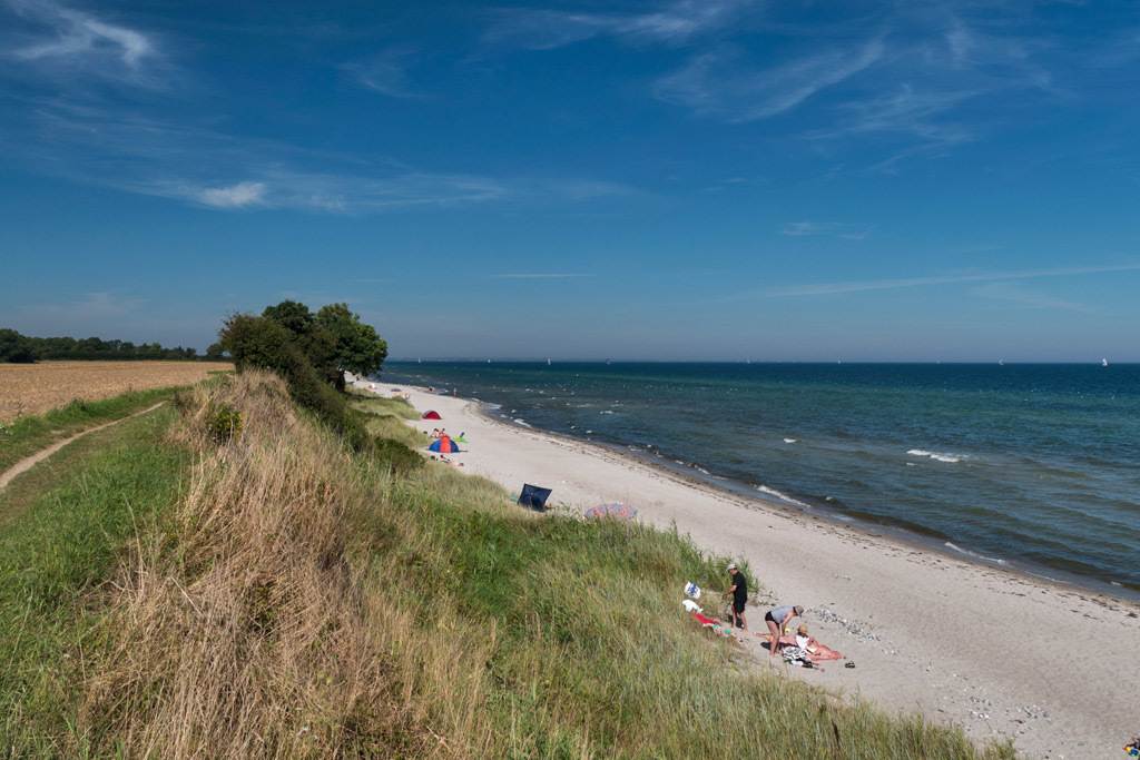Strand bei Hasselberg im August und Sptember Natur Kappeln und Umgebung, Kiekut 9 - Ferienwohnung