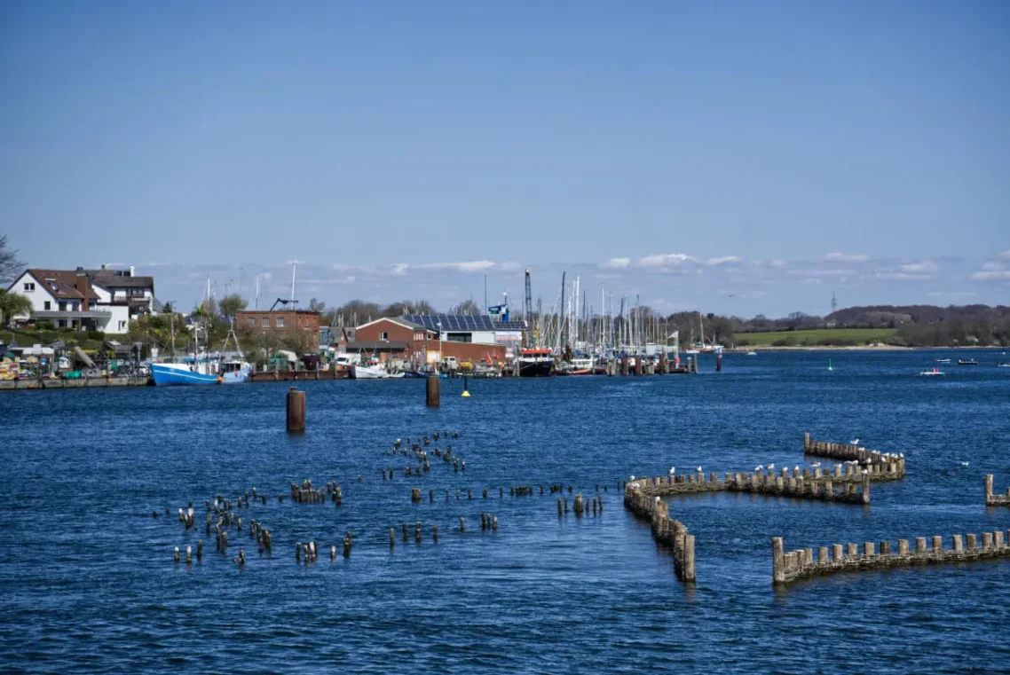 Der Heriengszaun in Kappeln an der Schlei Heringszaun