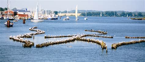 Heringszaun - finden Sie das Motiv an unserem Haus wieder? Natur Kappeln und Umgebung, Kiekut 9 - Ferienwohnung Ostsee