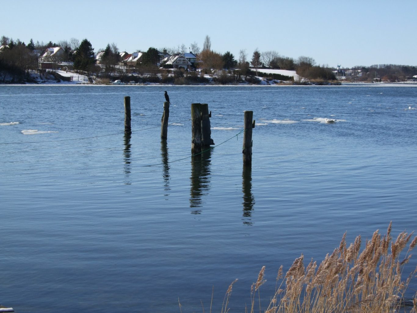 Vorsaison in Rabelsund - Klare Luft und wenig Menschen Natur Kappeln und Umgebung, Kiekut 9 - Ferienwohnung Ostsee